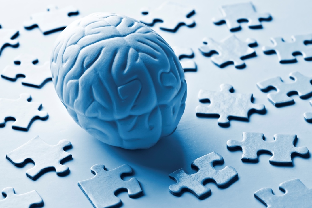 Illustration for news: 'Surgery Needs to Preserve Brain Tumour Patients' Speech in Native Language’