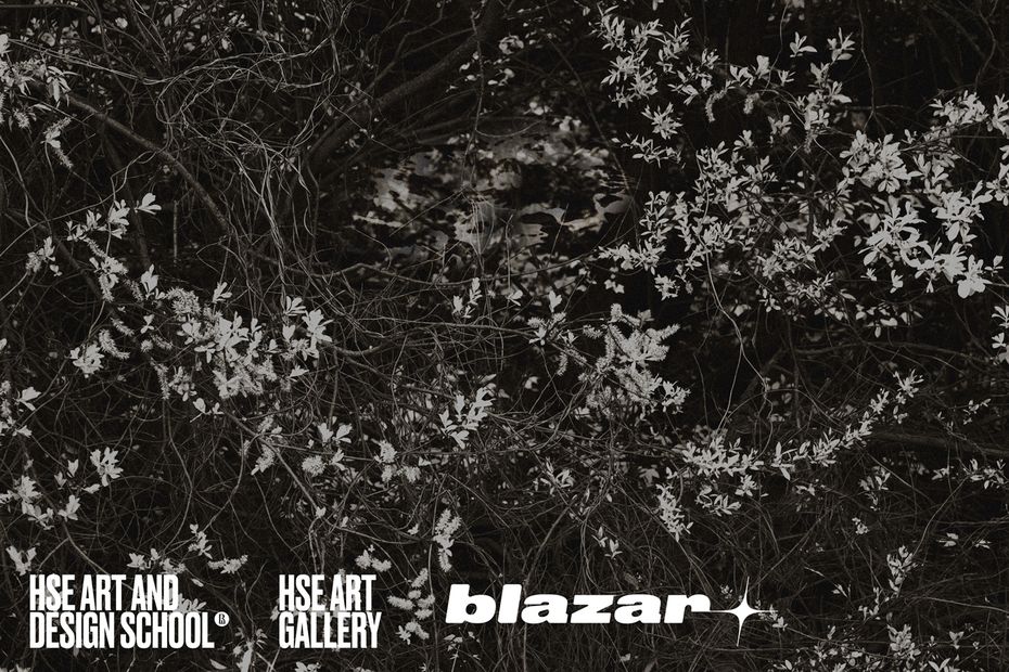 Тающие кирпичи и бабочки из профнастила: в ярмарке blazar участвует Школа дизайна ВШЭ Иллюстрация к новости: Тающие кирпичи и бабочки из профнастила: в ярмарке blazar участвует Школа дизайна ВШЭ